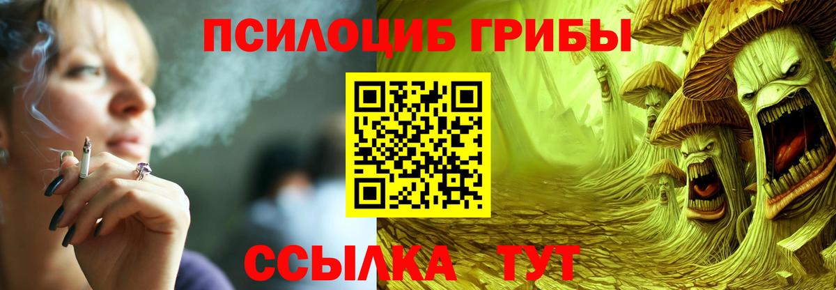 Вологда  Галлюциногенные грибы мухоморы  Псилоцибиновые грибы Psilocybine cubensis  Вход с VPN 