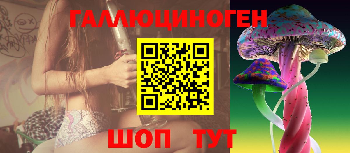 Псилоцибиновые грибы мицелий Вологда
